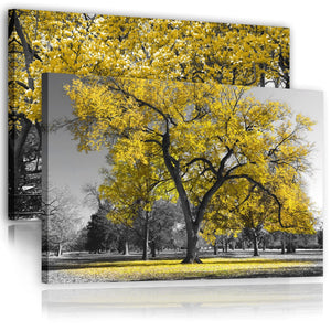 Yellow Grey Black Canvas Wall Art - Trees Leaves Blossom - Set of 2 Pictures